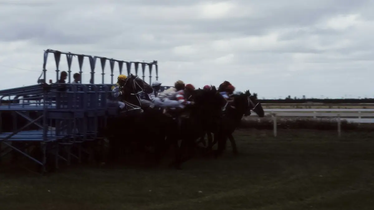Maiden, Claiming, Allowance and Stakes Races Explained
