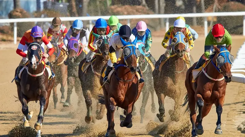 Road to the Kentucky Derby Points, How a Horse Gets In
