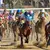 Kentucky Derby Winners List, 1875 to 2026