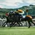 Belmont Stakes 2027 at the New Belmont Park