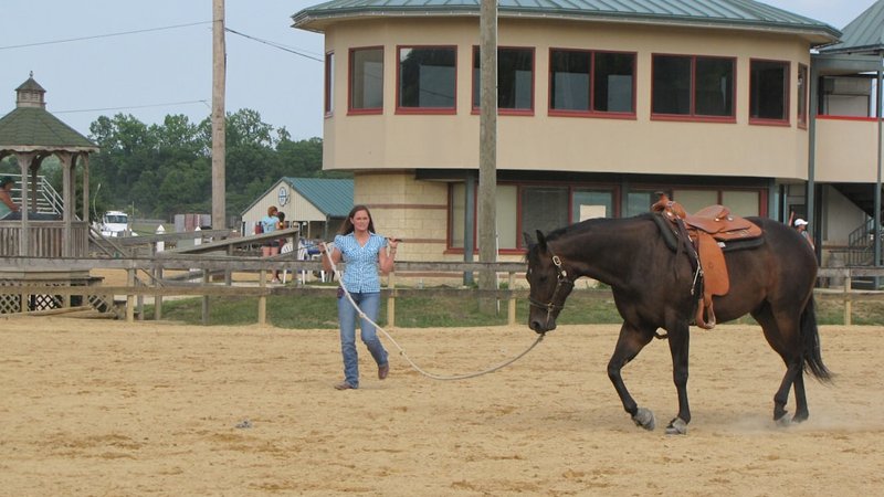 Rise of Female Jockeys in Horse Racing