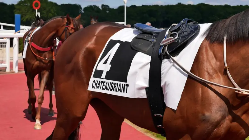 How to Set a Horse Racing Betting Budget