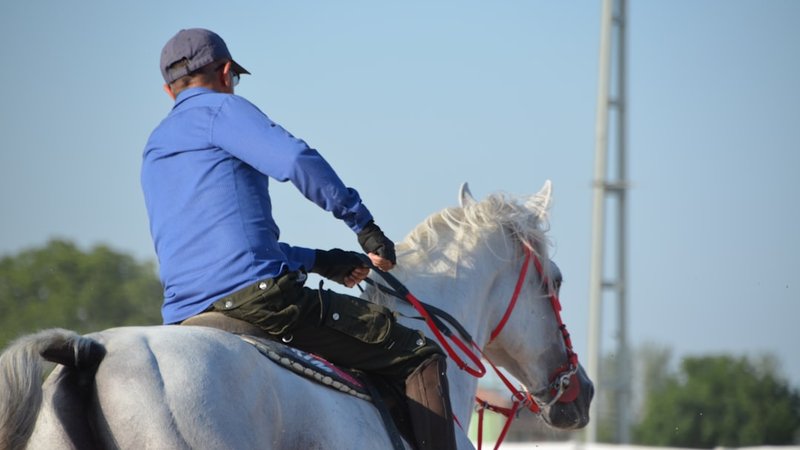 How to Read Derby Workout Reports