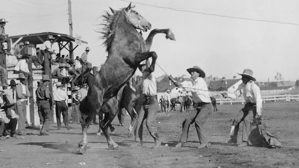 How to Handicap Horse Racing, a Beginner's Guide
